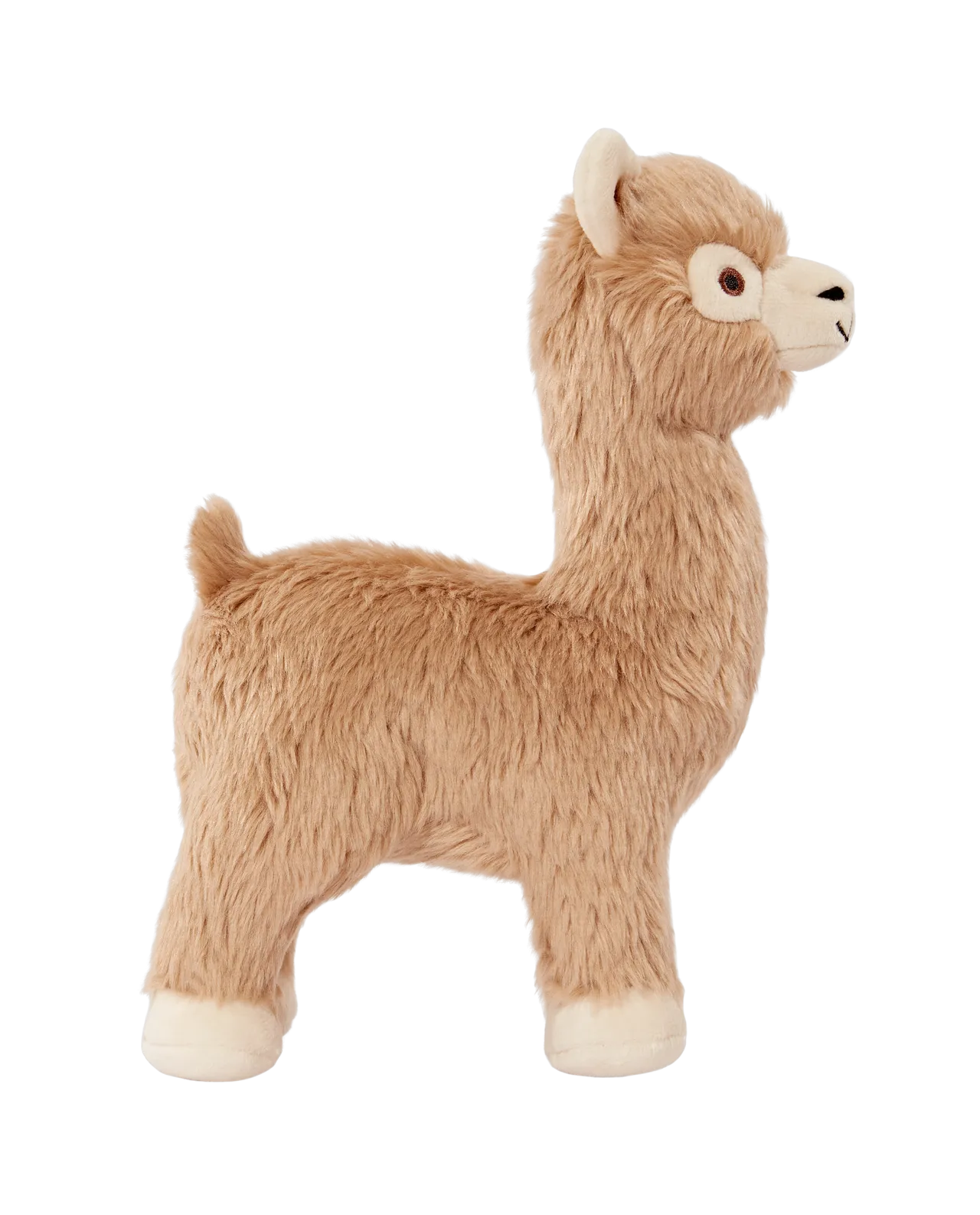 Inca Alpaca