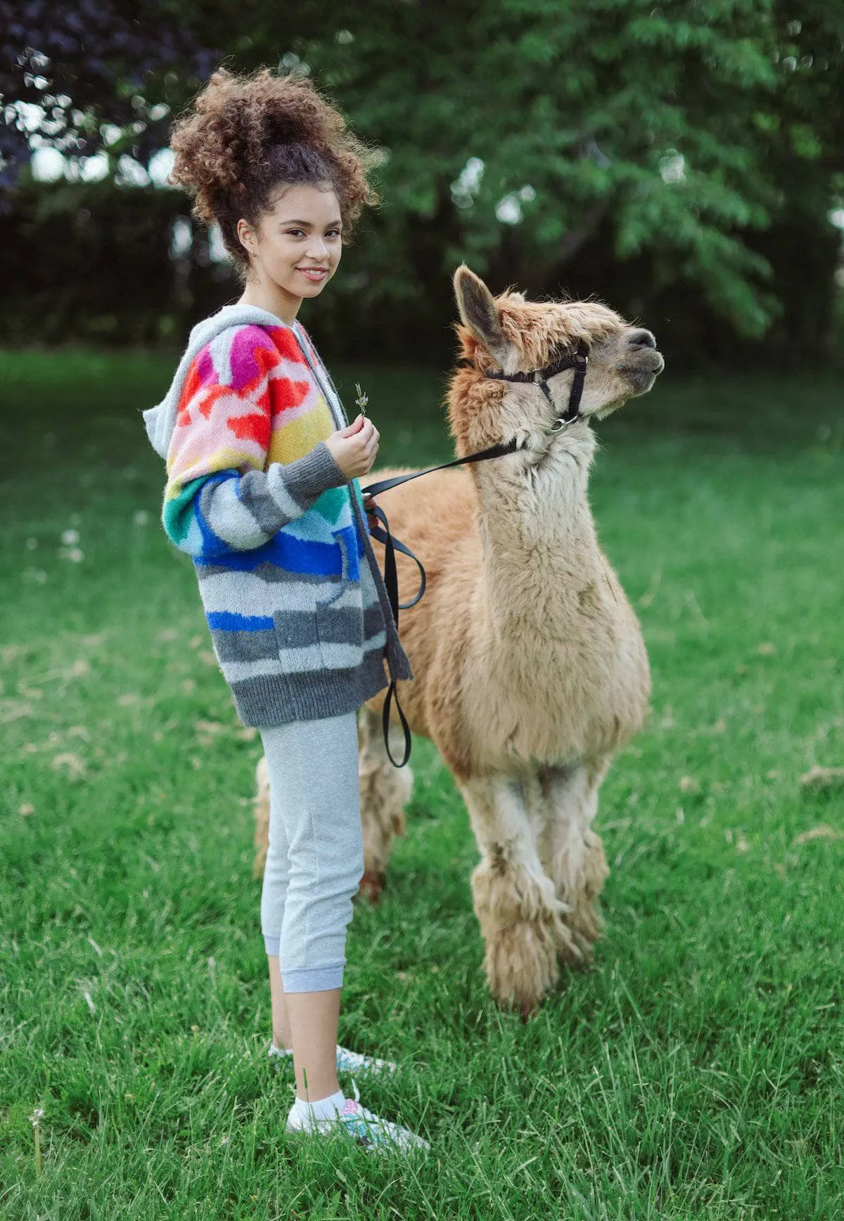 Shooting Star Rainbow Sweater